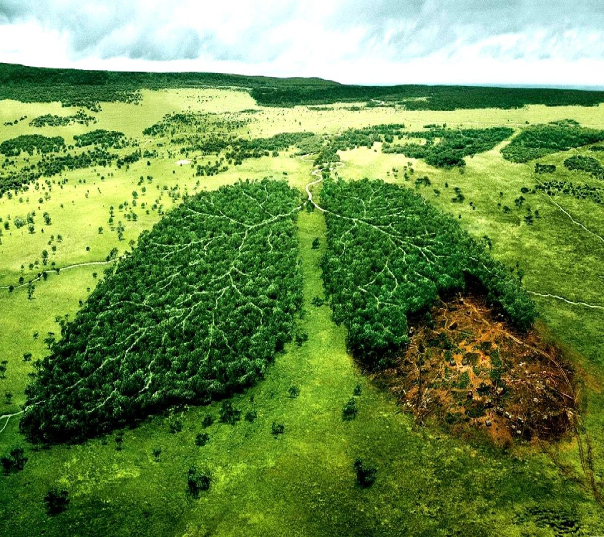 Знак топора