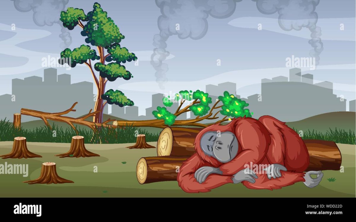 Срубленное дерево в лесу