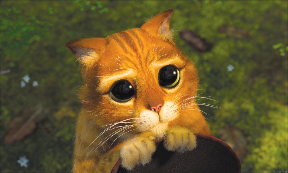 Прости меня