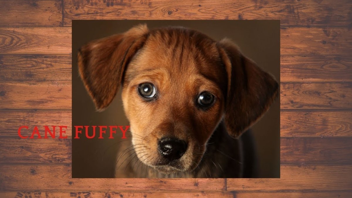 Смешные картинки с надписями