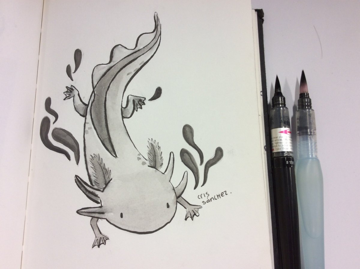 Аксолотль рисунок маркерами