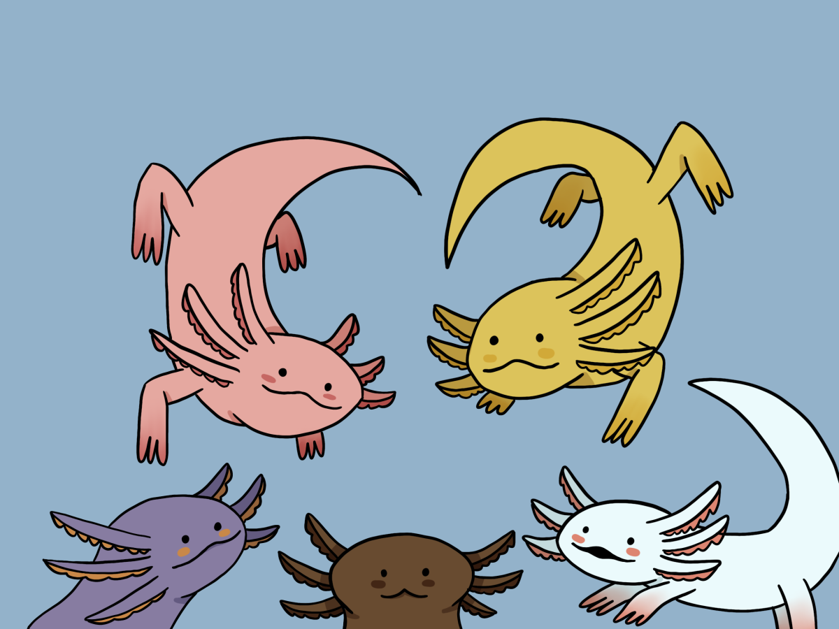 Рататоск аксолотль