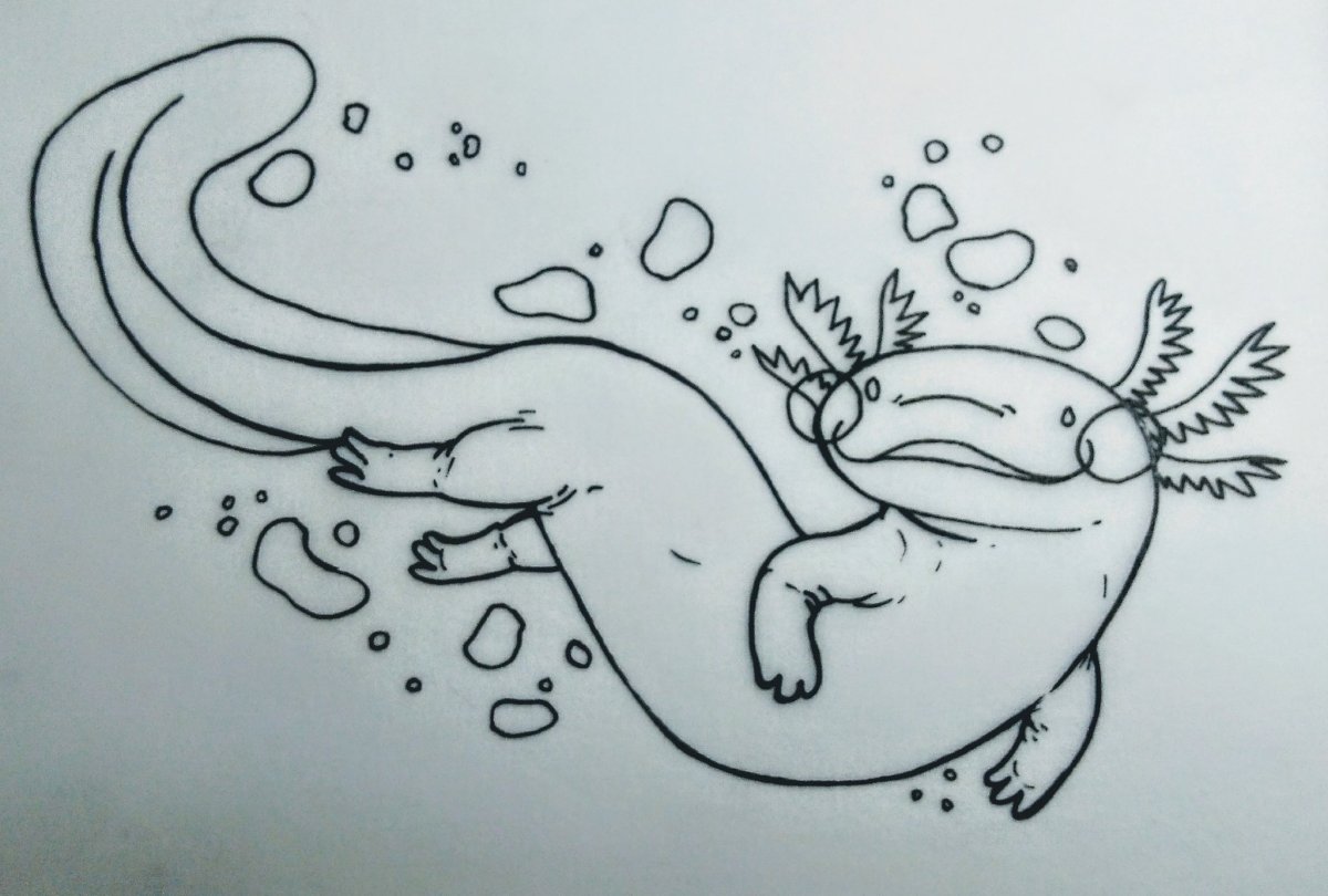 Аксолотль Чиби кавай