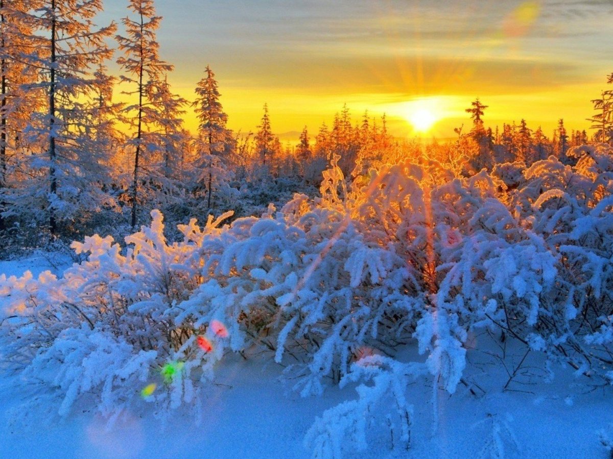 Зимний день