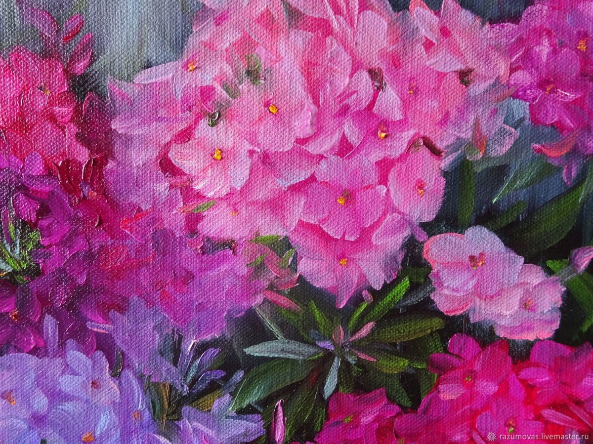 Флоксы Импрессионизм