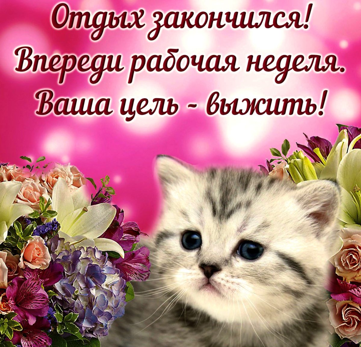 Открытки с понедельником