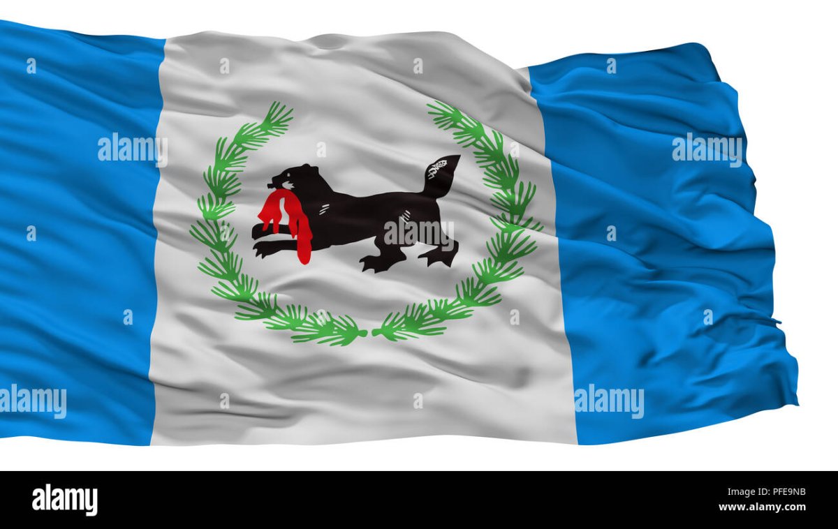 Правительство Иркутской области логотип