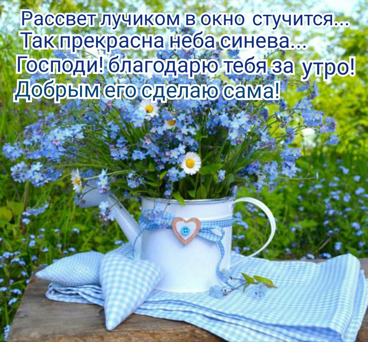 Добрый день с незабудками