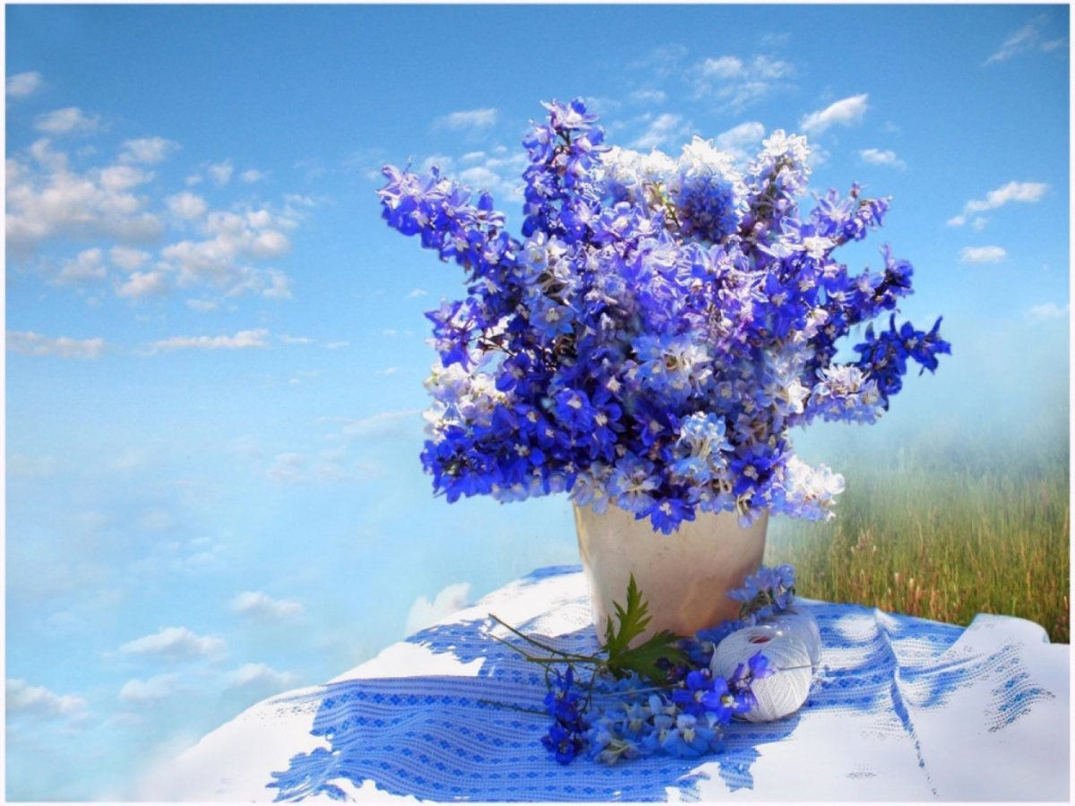 Букет цветов на фоне неба