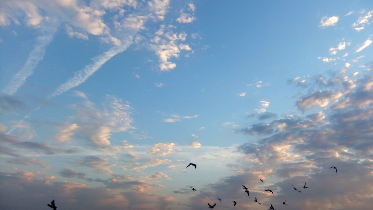 Небо голубое утро