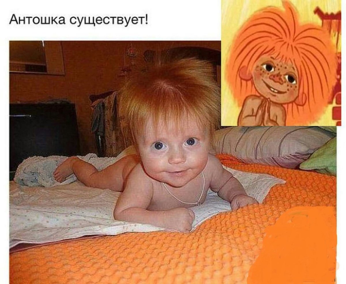 Домовенок вектор