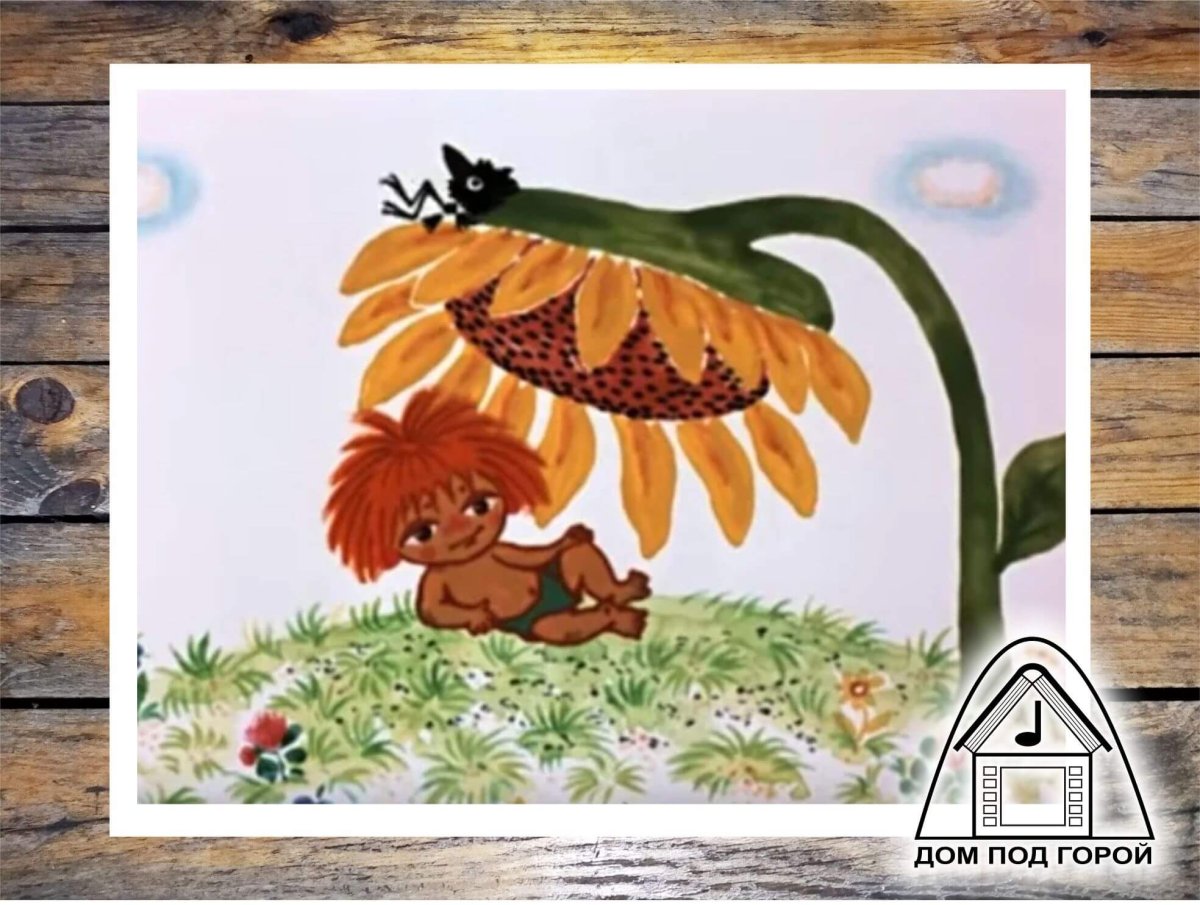 Антошка фото