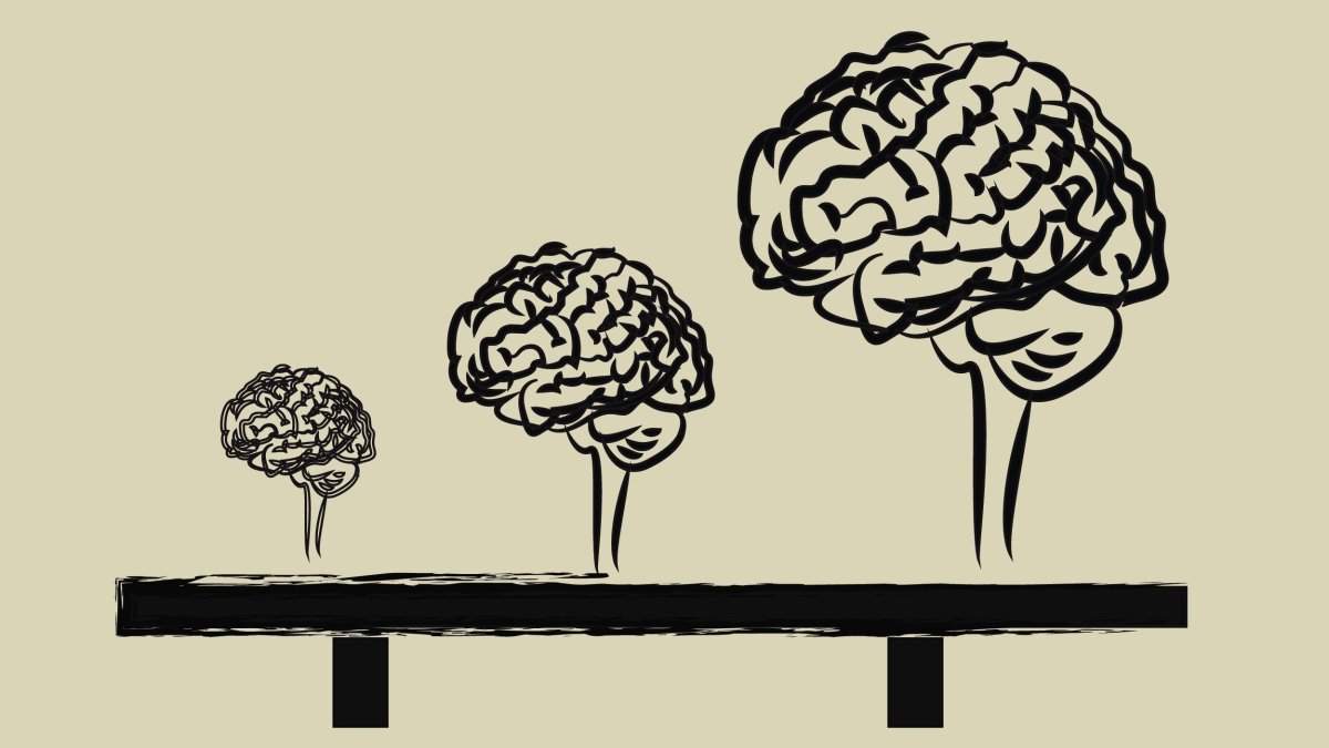 Мозг расслабляется