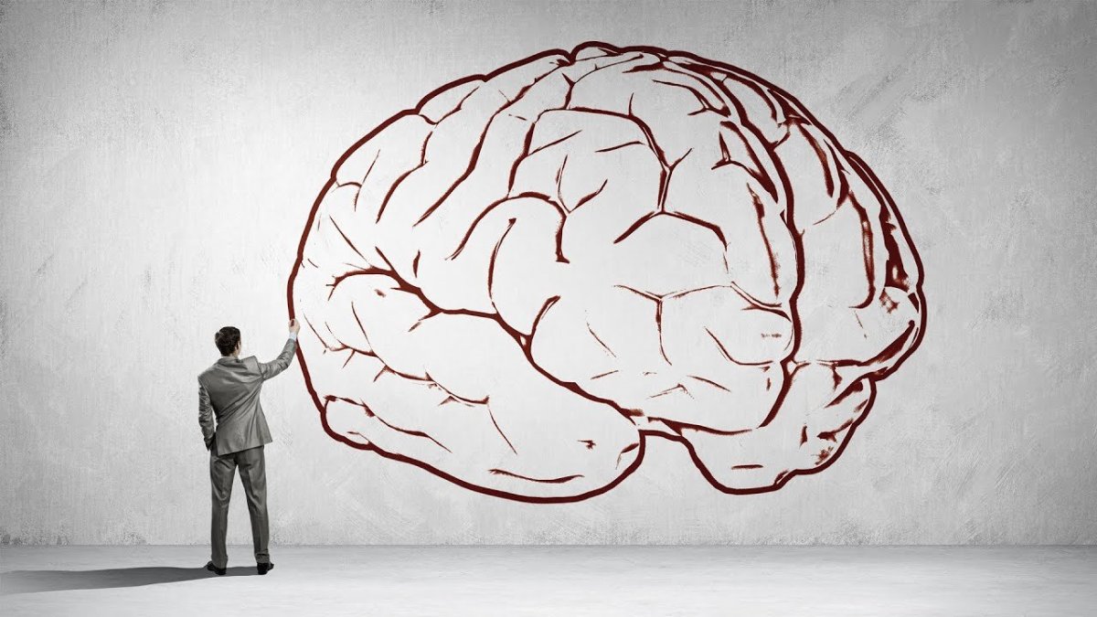 Мозг тренируется