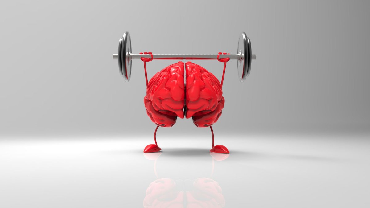 Мозг с гантелькой