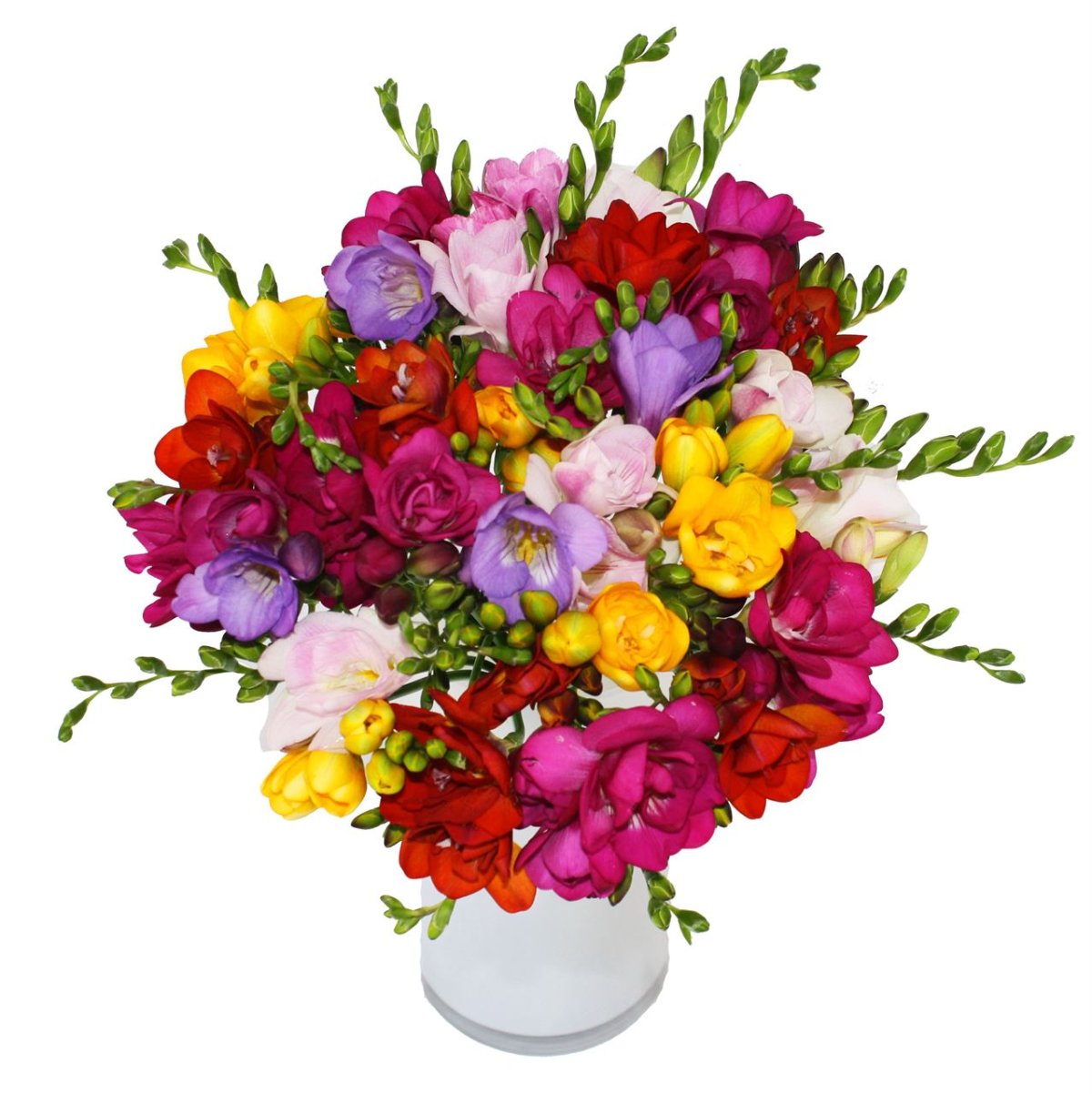 Красивые фрезии