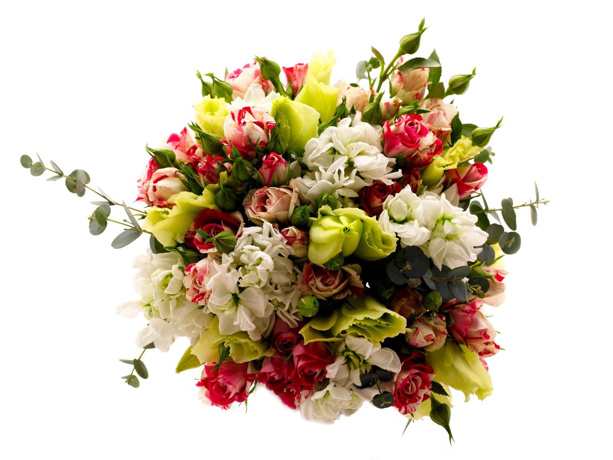 Фрезии Монобукет