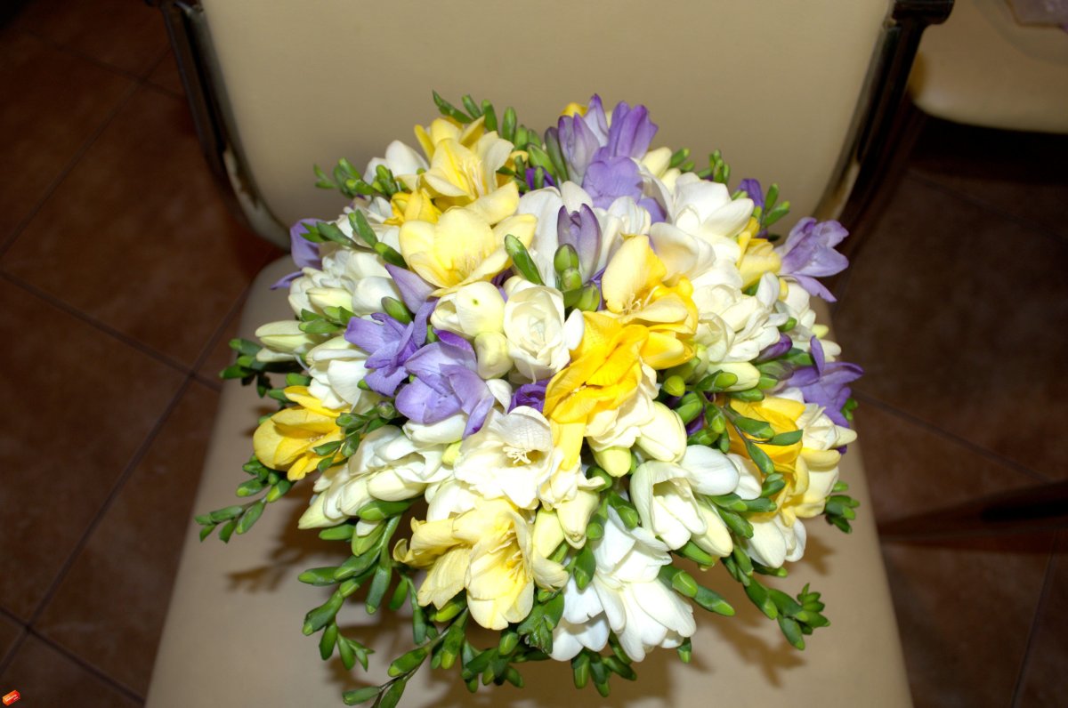 Фрезия с тюльпанами букет