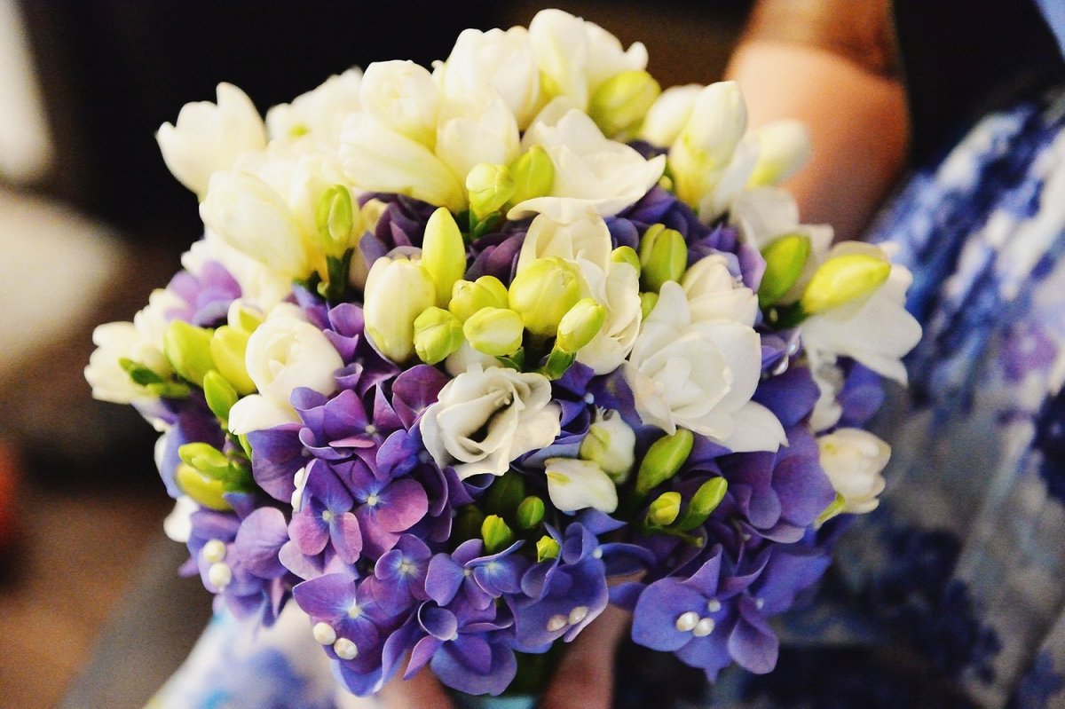 Фрезия букет