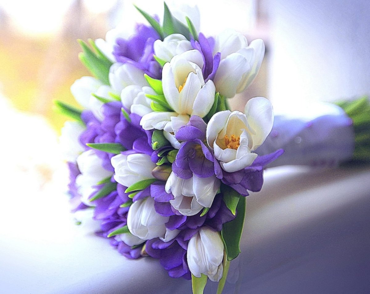 Букет 29 фрезий