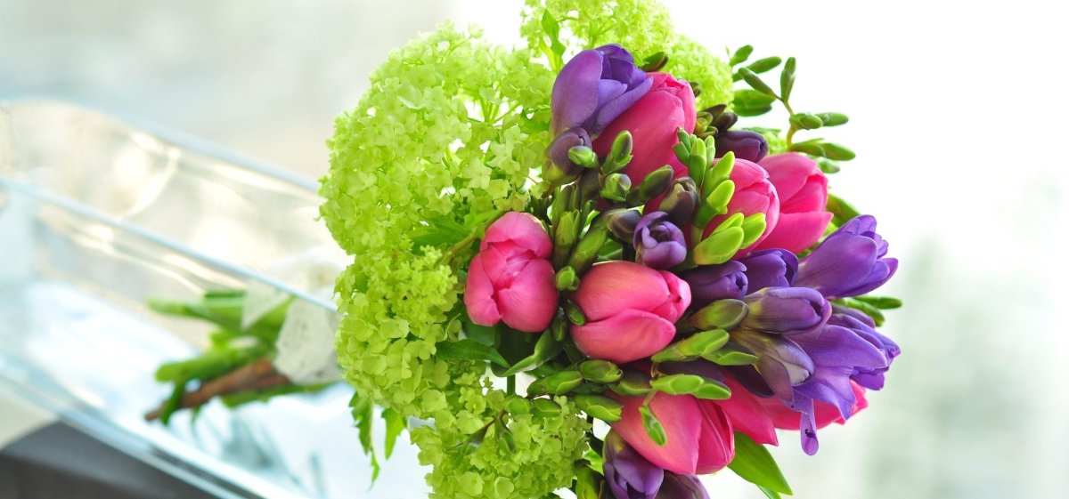 Фрезия Монобукет