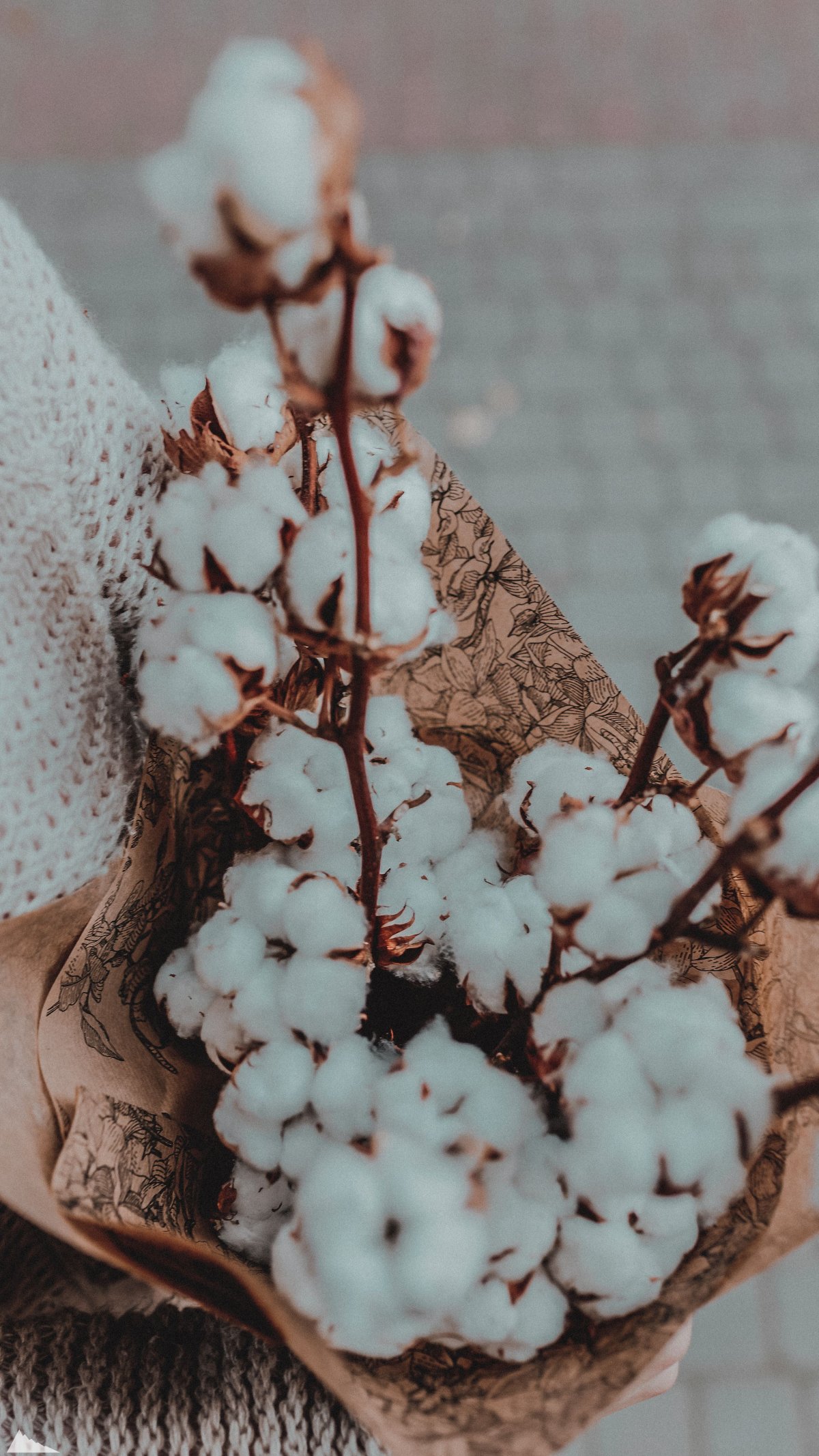 Хлопок Эстетика