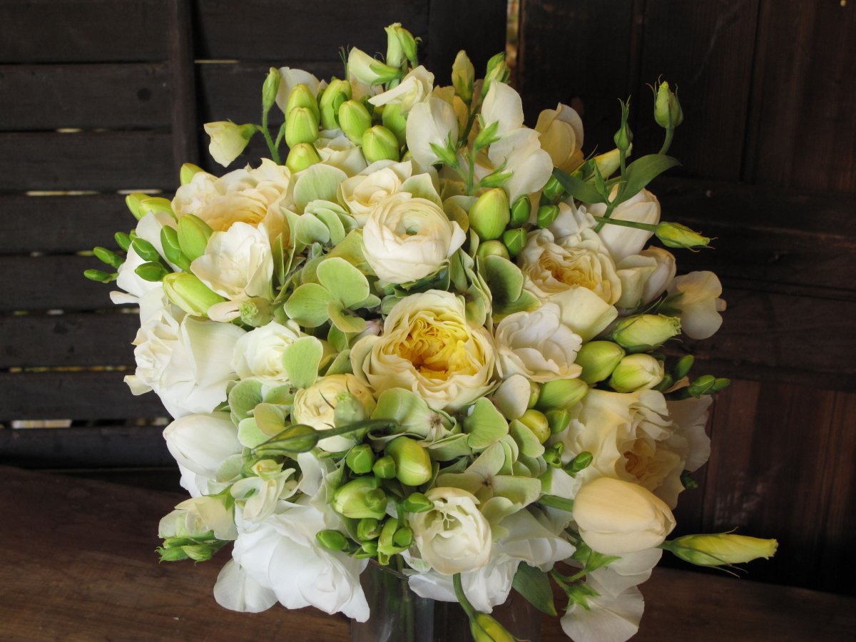 Фрезия Rosario