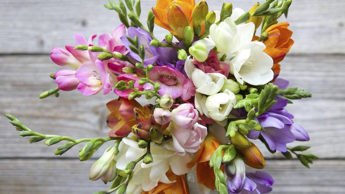 Самые красивые букеты на белом фоне