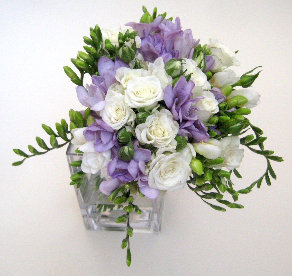 Фрезия махровая энкель