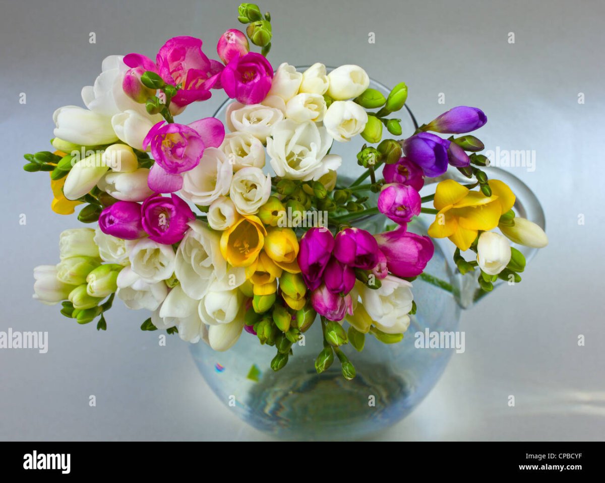 Фрезия флористика букет