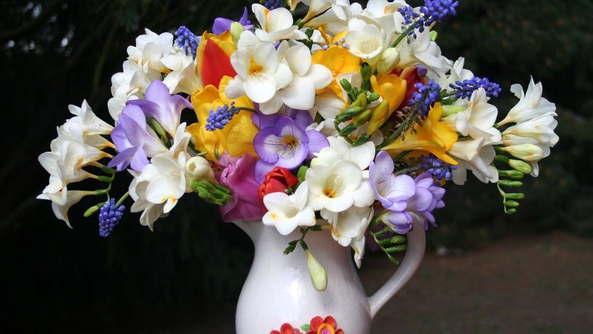 Фрезия и эустома