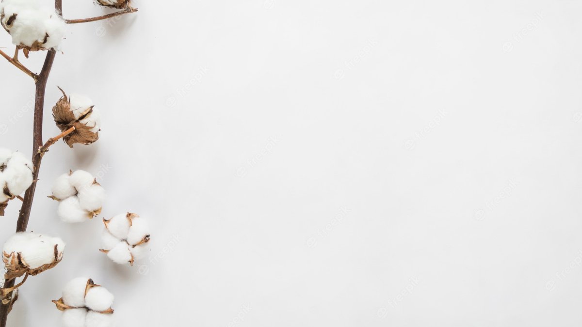 Хлопок фон