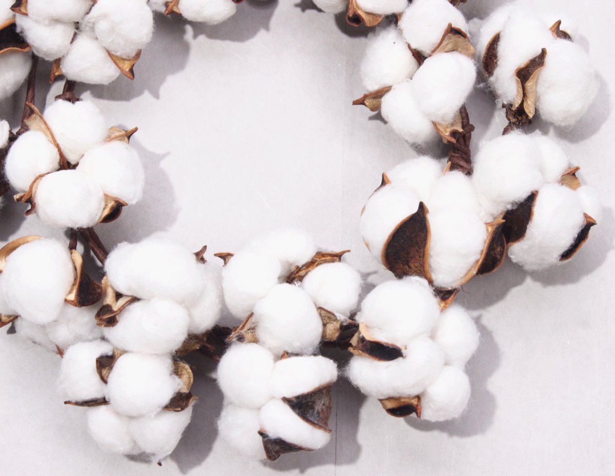 Красивый хлопок