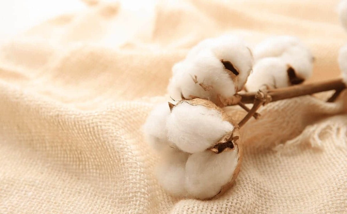 Хлопок лежит на ткани