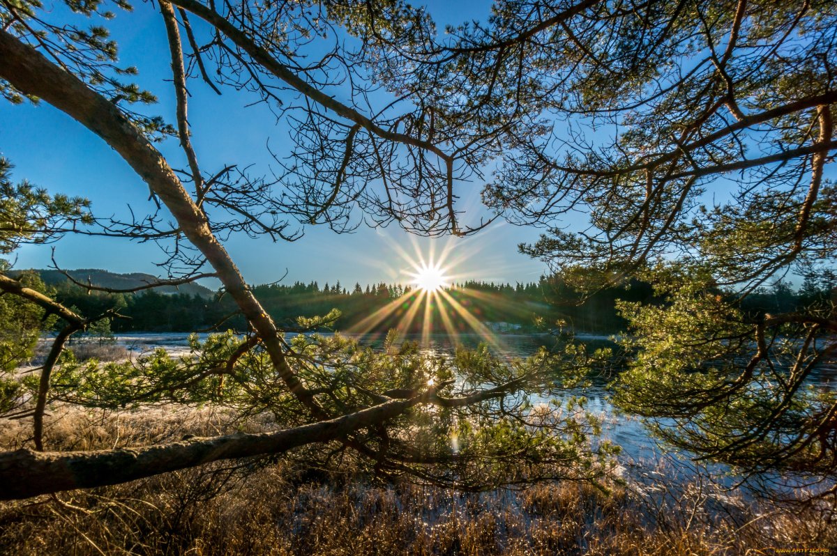 Красивая природа солнце