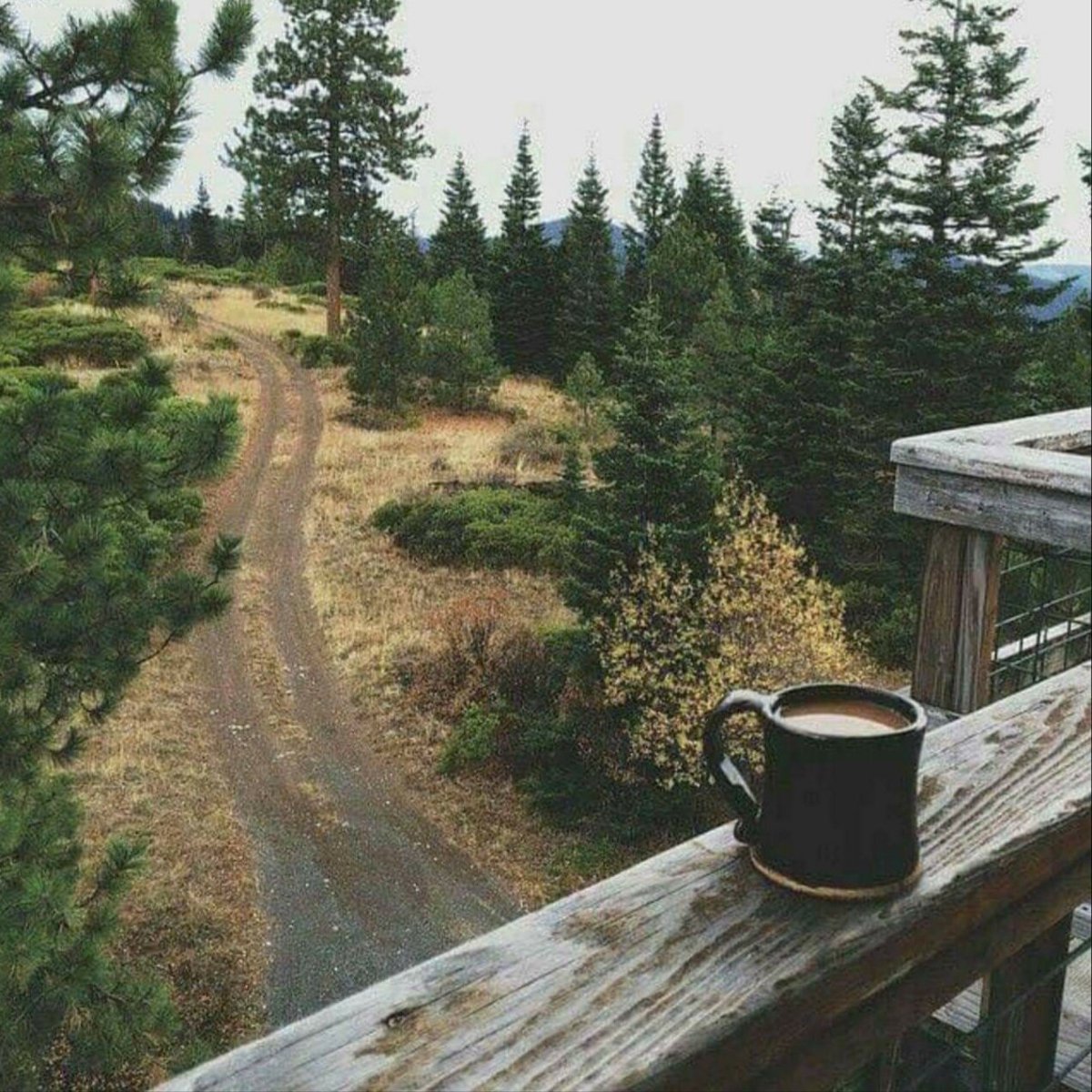 Утро в домике в лесу