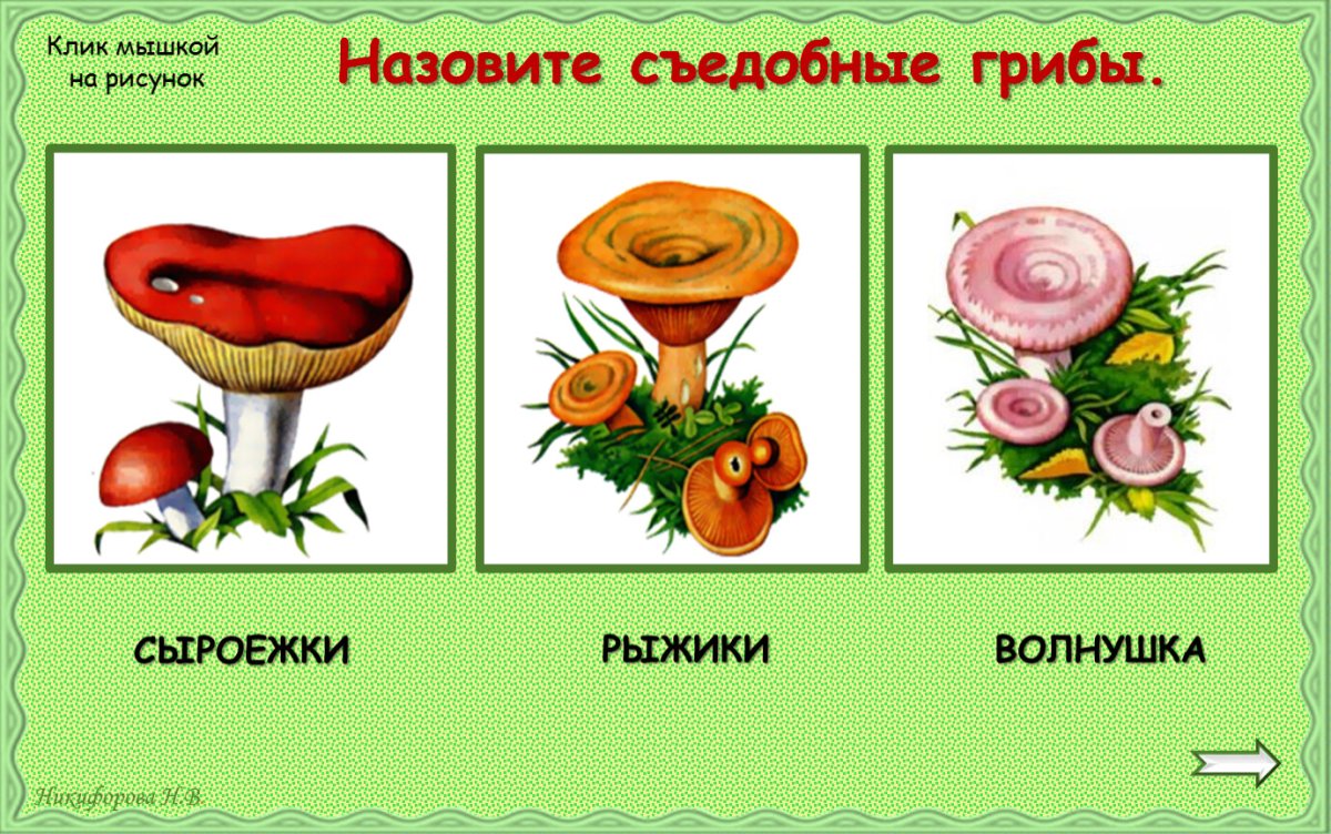 Сравнить Рыжик с волнушкой