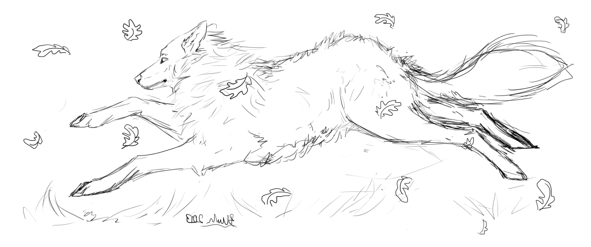 Крутые рисунки карандашом для срисовки