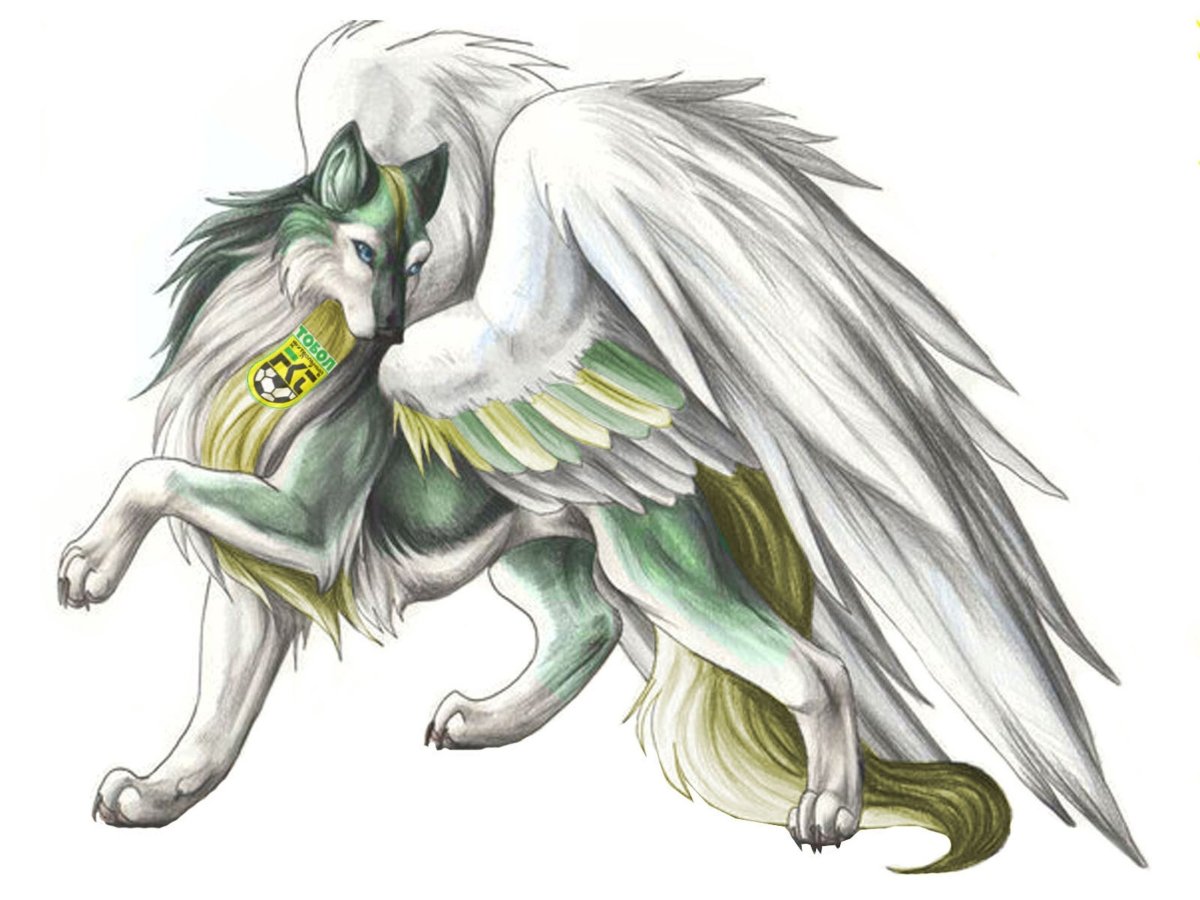 Волк рисунок цветной необычный