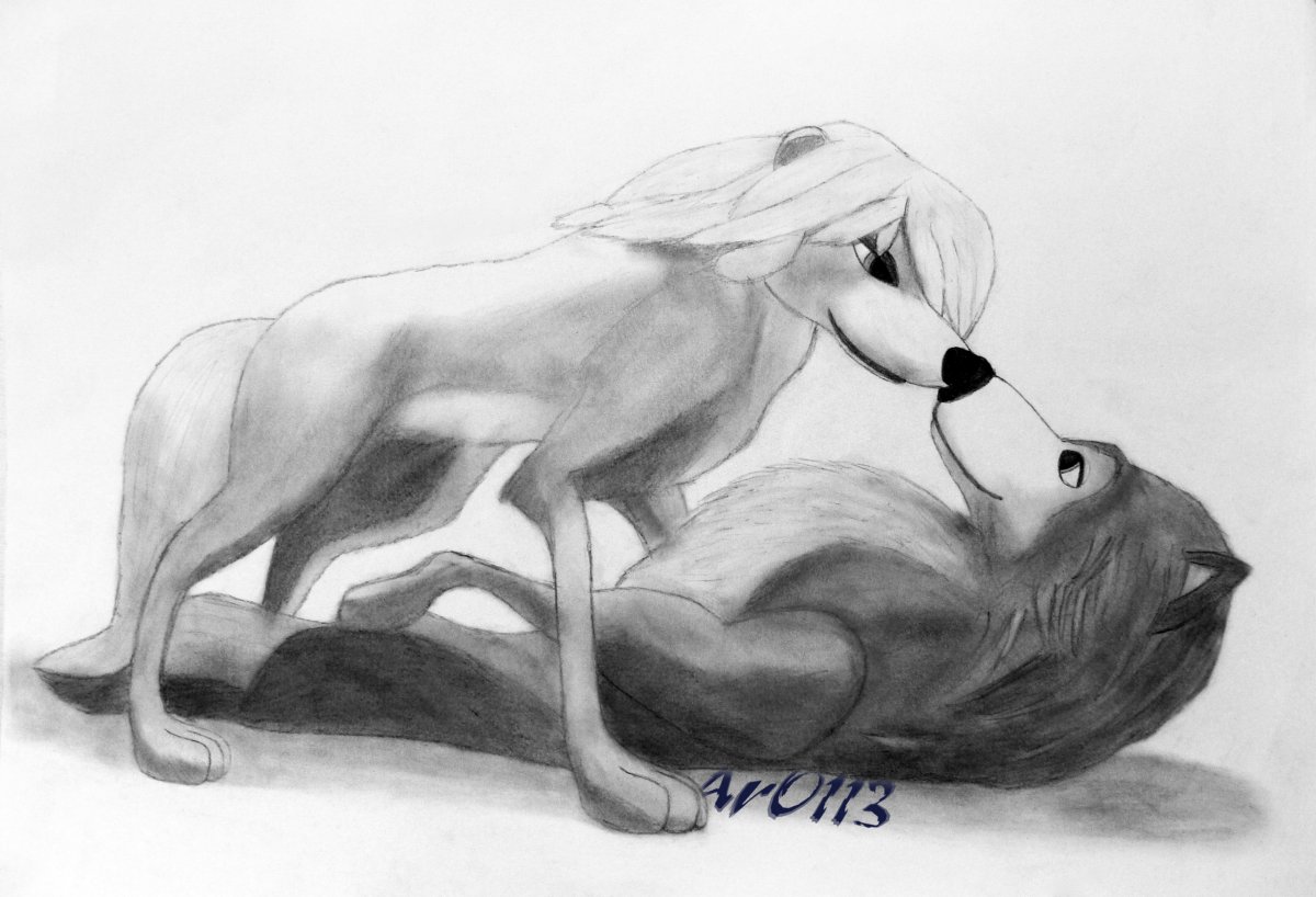 Волк рисунок