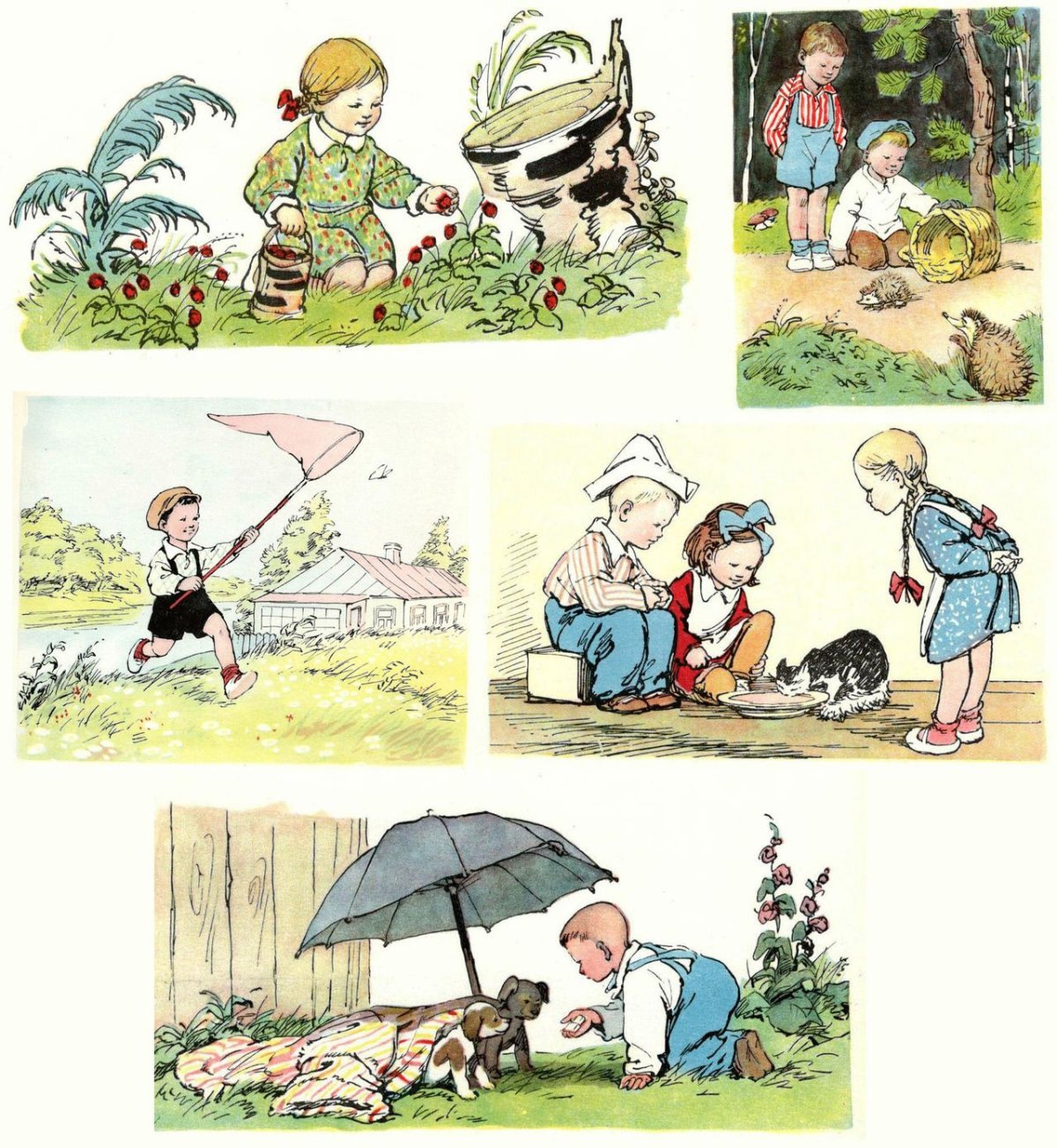 Серия сюжетных картинок рыбалка