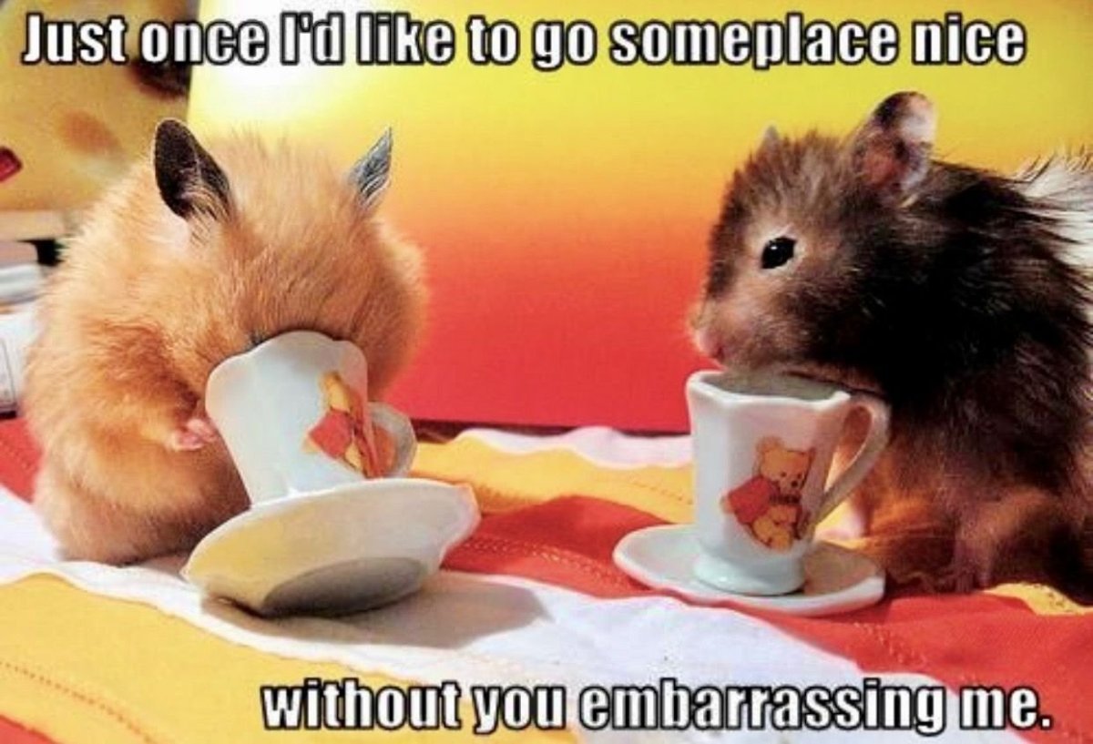 Милые открытки с добрым утром