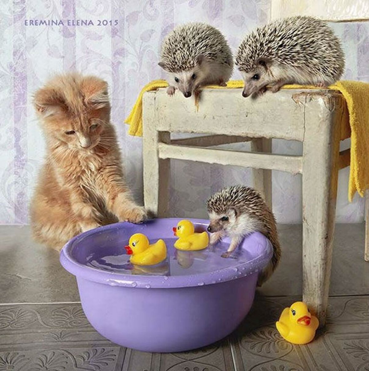 Животные весной