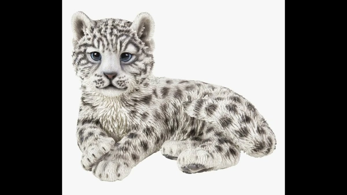 Снежный Барс на белом фоне