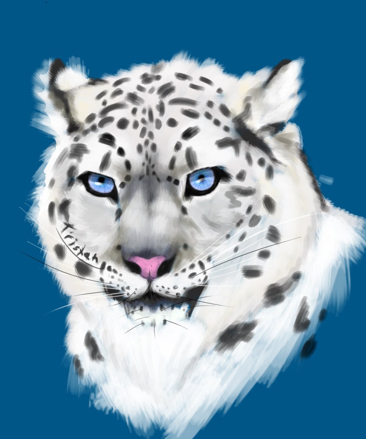 Алмазная мозаика снежный Барс