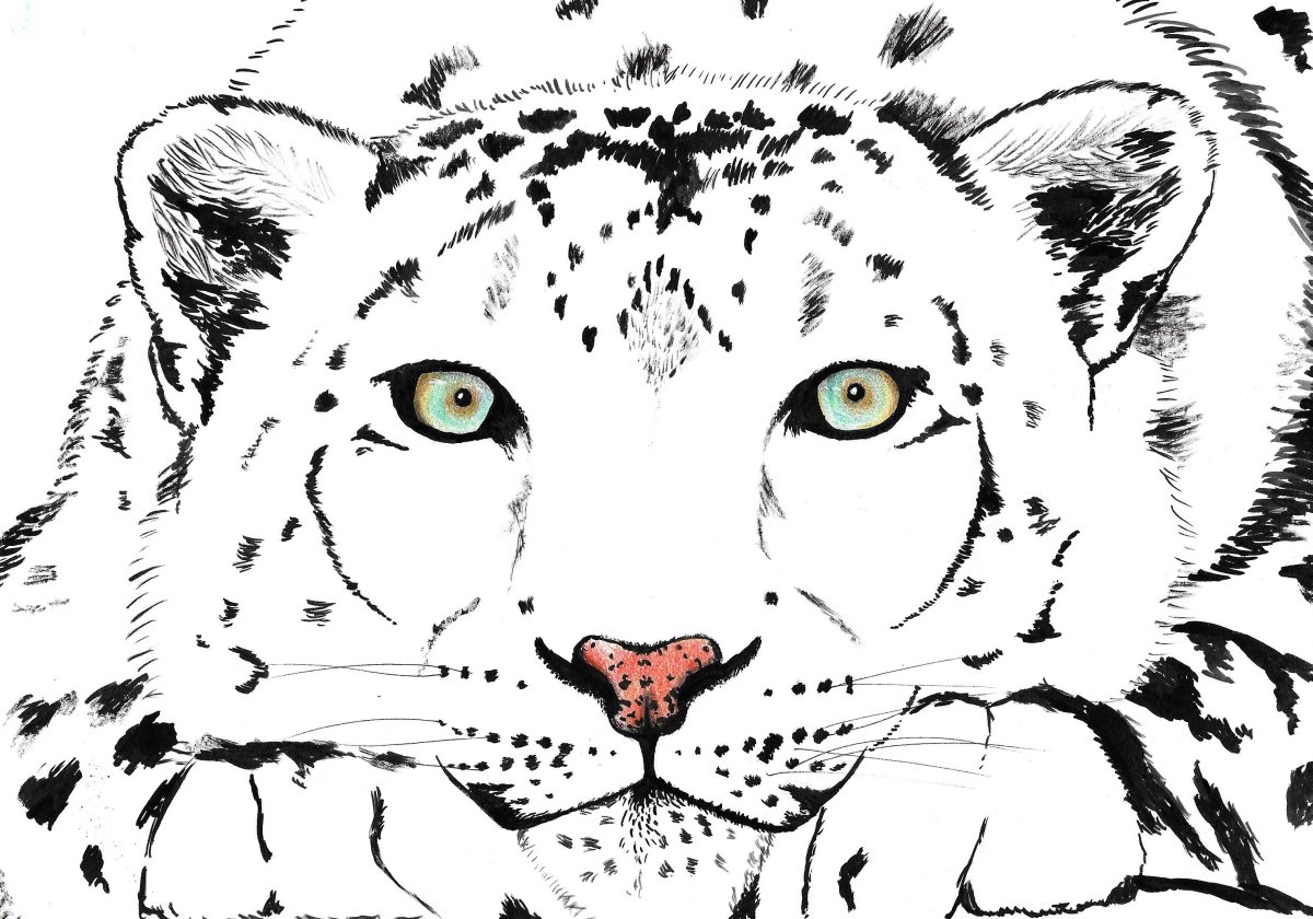 Снежный Барс печать