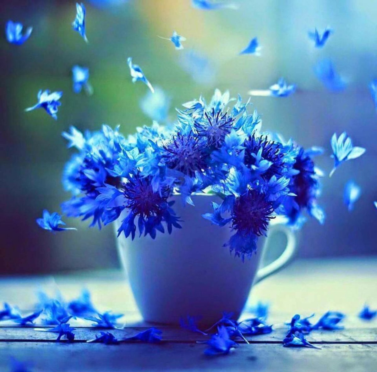 Хорошего настроения и выздоровления