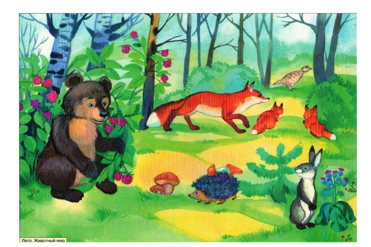 Лесные животные для детского сада
