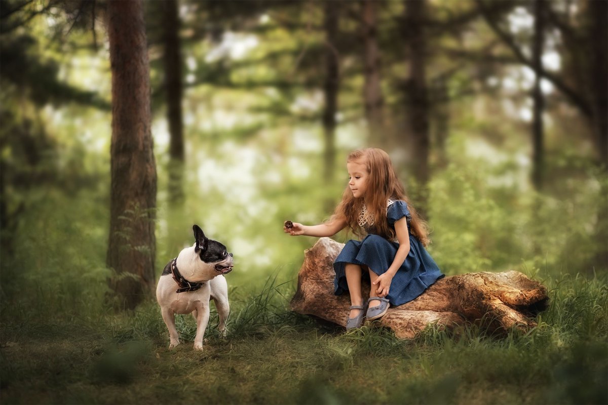 Фотосессия с собакой в лесу