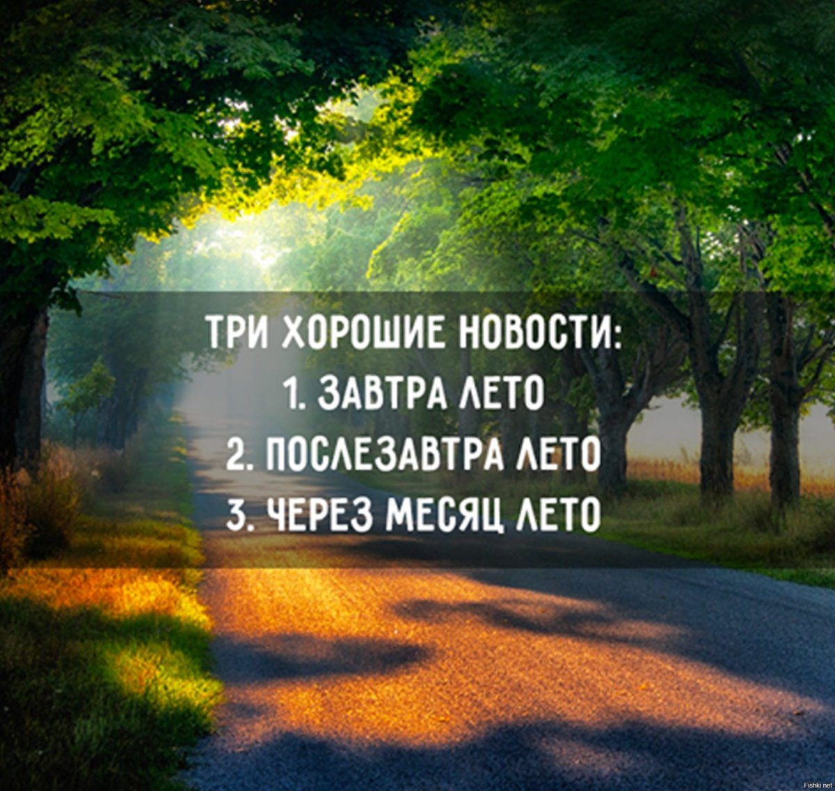 Скоро лето демотиваторы